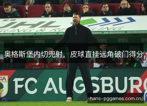 奥格斯堡内切兜射，皮球直挂远角破门得分